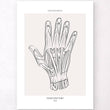 Laden Sie das Bild in den Galerie-Viewer, Hand anatomy art