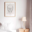 Load image into Gallery viewer, Skull anatomy line drawing