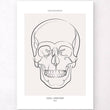 Load image into Gallery viewer, Skull anatomy poster