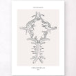 Charger l'image dans la galerie, Circle of Willis anatomy