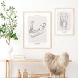 Laden Sie das Bild in den Galerie-Viewer, Dentistry anatomy