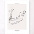 Laden Sie das Bild in den Galerie-Viewer, Jaw anatomy art