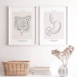 Charger l'image dans la galerie, Digestive system anatomy art