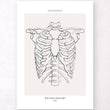 Laden Sie das Bild in den Galerie-Viewer, Thorax anatomy art