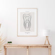 Laden Sie das Bild in den Galerie-Viewer, tooth anatomy poster for dental students by codex anatomicus