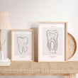 Laden Sie das Bild in den Galerie-Viewer, tooth anatomy wall art for dental clinic by codex anatomicus
