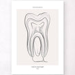 Laden Sie das Bild in den Galerie-Viewer, tooth anatomy art print for dentists by codex anatomicus