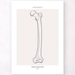 Laden Sie das Bild in den Galerie-Viewer, Femur anatomy art