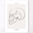 Charger l'image dans la galerie, Skull anatomy poster