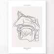 Laden Sie das Bild in den Galerie-Viewer, Nose anatomy poster by codex anatomicus