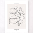Charger l'image dans la galerie, Spine anatomy poster by codex anatomicus