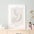 Charger l'image dans la galerie, Stomach anatomy art