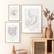 Charger l'image dans la galerie, Gastroenterology clinic art