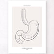Charger l'image dans la galerie, Stomach anatomy poster
