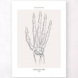 Laden Sie das Bild in den Galerie-Viewer, Hand skeleton anatomy