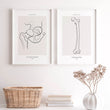 Laden Sie das Bild in den Galerie-Viewer, Hip anatomy poster