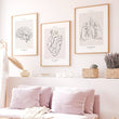 Charger l'image dans la galerie, Anatomy poster