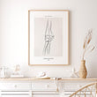 Laden Sie das Bild in den Galerie-Viewer, Elbow anatomy poster
