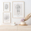 Charger l'image dans la galerie, Nephrology art