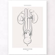 Charger l'image dans la galerie, Urinary system poster