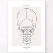 Load image into Gallery viewer, Neck anatomy poster