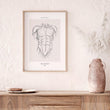 Charger l'image dans la galerie, Torso muscles poster