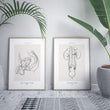 Load image into Gallery viewer, Urology anatomy poster