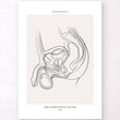 Load image into Gallery viewer, Male reproductive system anatomy poster