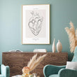 Laden Sie das Bild in den Galerie-Viewer, Dissected heart anatomy
