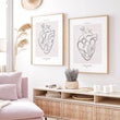 Laden Sie das Bild in den Galerie-Viewer, Heart anatomy poster