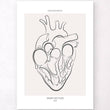 Laden Sie das Bild in den Galerie-Viewer, Heart section anatomy art