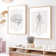 Charger l'image dans la galerie, Central nervous system anatomy poster