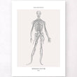 Charger l'image dans la galerie, Nervous system poster