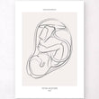 Laden Sie das Bild in den Galerie-Viewer, Fetus anatomy poster