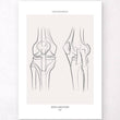 Laden Sie das Bild in den Galerie-Viewer, knee anatomy poster by codex anatomicus