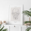 Laden Sie das Bild in den Galerie-Viewer, Facial muscles anatomy poster