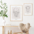 Laden Sie das Bild in den Galerie-Viewer, Face muscles poster