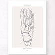 Charger l'image dans la galerie, Foot anatomy poster