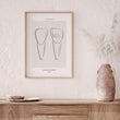 Laden Sie das Bild in den Galerie-Viewer, Incisor anatomy poster