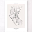 Charger l'image dans la galerie, Knee anatomy art