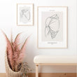 Charger l'image dans la galerie, Shoulder anatomy poster
