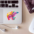 Load image into Gallery viewer, Liver anatomy sticker