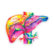 Load image into Gallery viewer, Liver sticker