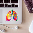 Load image into Gallery viewer, Lungs anatomy sticker