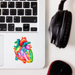 Load image into Gallery viewer, watercolor heart anatomy sticker by codex anatomicus