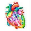 Load image into Gallery viewer, Anatomical heart sticker