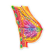 Load image into Gallery viewer, Breast anatomy sticker