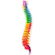 Load image into Gallery viewer, Spine sticker