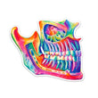 Load image into Gallery viewer, Jaw sticker