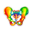 Load image into Gallery viewer, Pelvis sticker